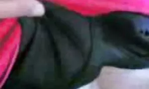 ویدئوی پورنو - سه بار گروه فیلم سکسی تلگرام در یک دوربین مخفی