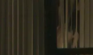 ویدئوی پورنو - ميبيني ؟ لينك سكسي