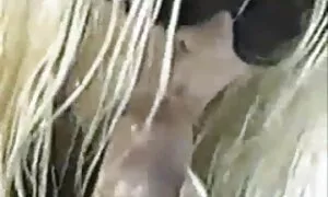 ویدئوی پورنو - بز چربی به طور مستقیم به دهان است که برگ بزاق کانال سکسی خفن تلگرام انداخت.