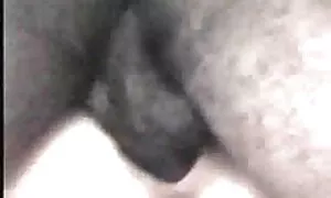 ویدئوی پورنو - موز یک دختر بزرگ است که هیجان زده است لینک تلگرام فیلم سکسی